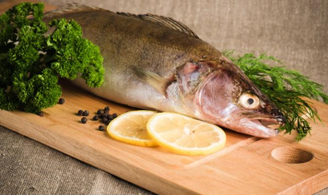 Пресноводная рыба судак: польза и вред, вкус и выбор